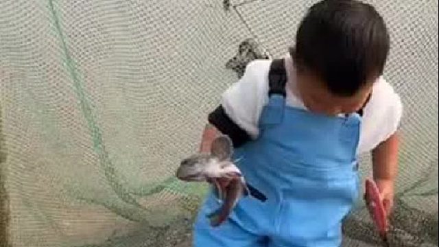 户外赶海抓海鲜