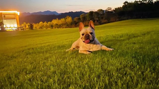 不要你离开  距离隔不开