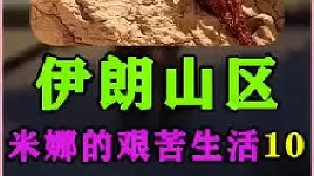 米娜为新家铺设水管   (1)