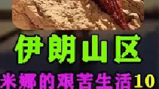 米娜为新家铺设水管   (2)