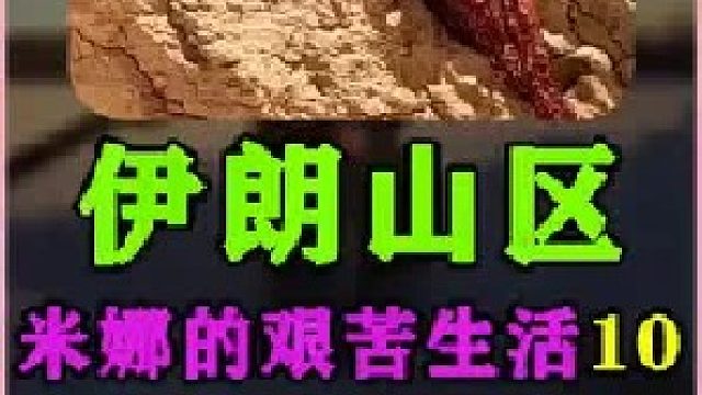 米娜为新家铺设水管   (3)