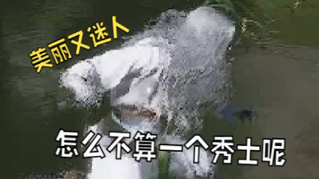 看了白衣秀士二段变身，难道你是女娲后人？【离恨沉浸·黑神话悟空】