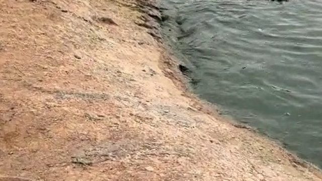 弹起来咔咔咔那几下直接给我笑成大奋