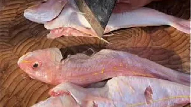 带你去体验渔民的生活