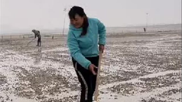 赶海赶海赶海啦