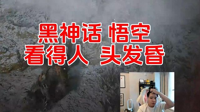 letme 黑神话 悟空 看得人 头发昏