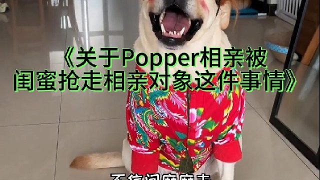《关于Popper相亲被闺蜜抢走相亲对象这件事情》