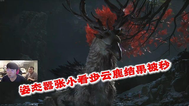 姿态嚣张说几条命都没用，结果被步云鹿的一阵风给秒了