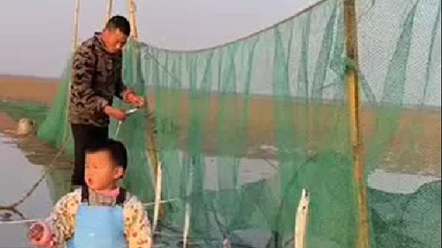 户外赶海抓海鲜