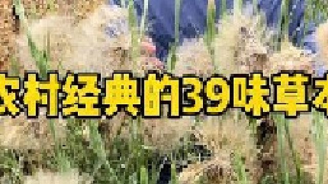 盘点一下农村经典的19味本草。