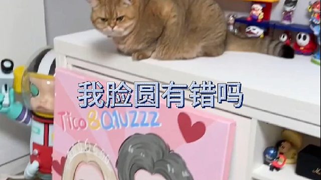 说了黄咯噔只有十斤！只是吃了脸圆的亏