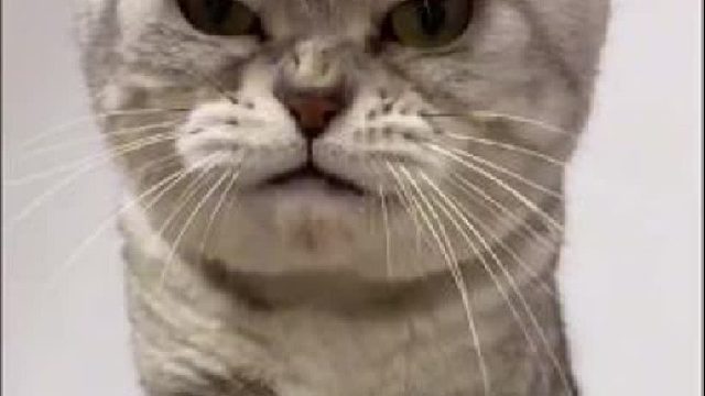 真是铁汉柔情呢~