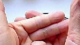 餃子的九種包法，你會幾種？一起來學(xué)習(xí)包餃子吧！