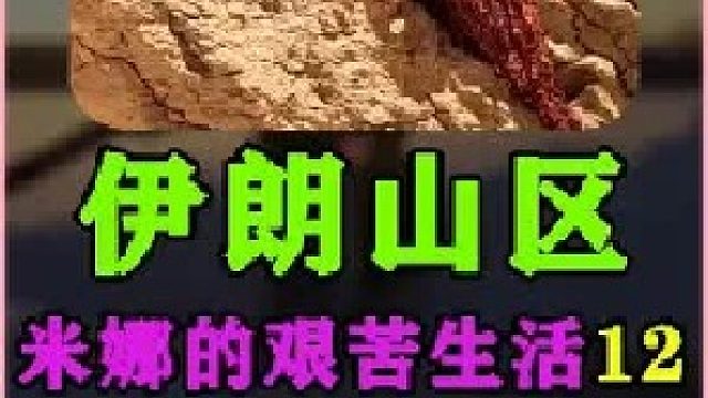 米娜的艰苦生活屋漏偏逢连阴雨  (1)