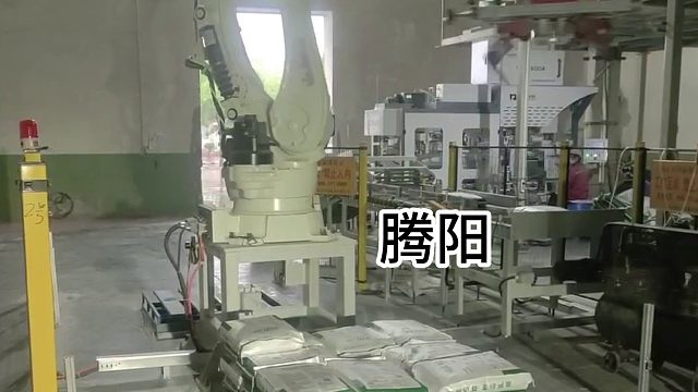 腾阳码垛机，新时代的新选择！