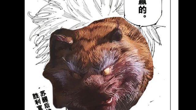 菜就多练，虎先锋！