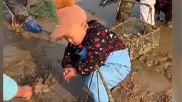 赶海赶海赶海啦