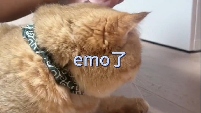 我就不信了 黄咯噔还能封印一年不成