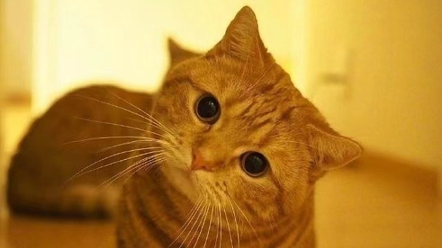 诛仙3官服创世绮梦  -怎样成为婴变高手1