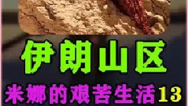 米娜进行大扫除把衣服毯子都清洗了一遍  (2)