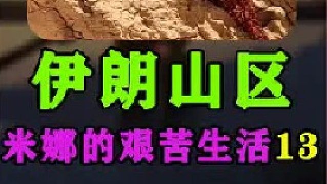 米娜进行大扫除把衣服毯子都清洗了一遍  (3)