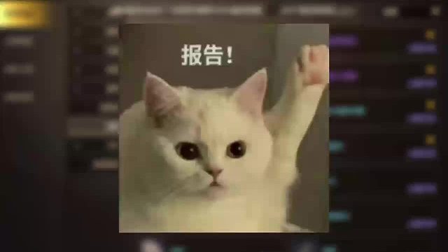 今天带大家买到20万女鬼剑夏日套