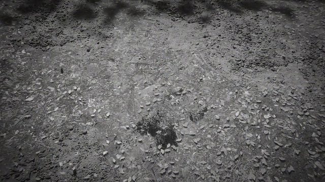 被虐到连毒敌大王都不想打我了。。。。。。