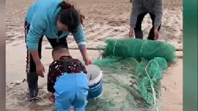 户外赶海抓海鲜