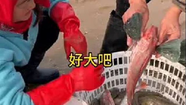 带你去体验渔民的生活