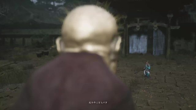 已击败-金池长老