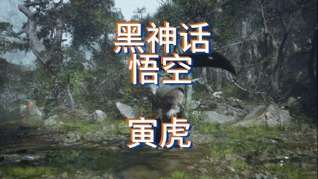 【黑神话悟空】第三回 纯手打极限寅虎