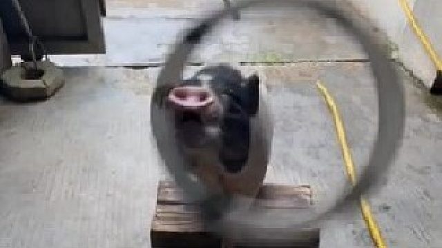 有趣的事分享给有趣的人