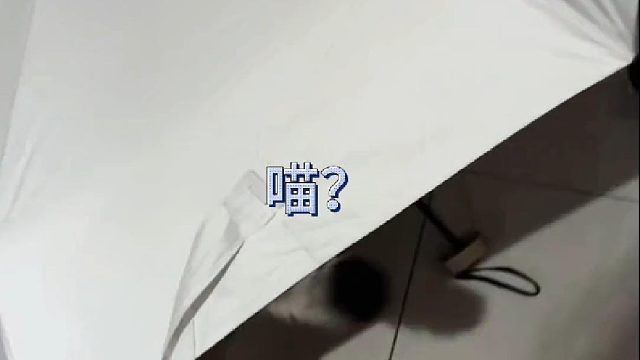 养只猫吧 起码emo天气的时候 还有猫陪你玩过家家