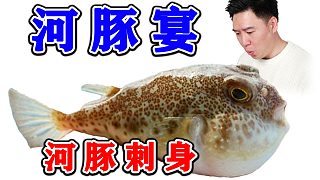 河豚宴，刺身炫了，我現(xiàn)在慌的一批