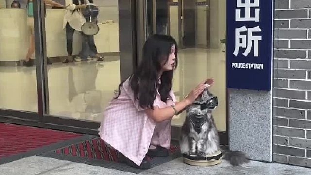 有事业编的猫咪就是不一样，情绪好稳定！