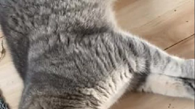 球球这是又梦到谁了？