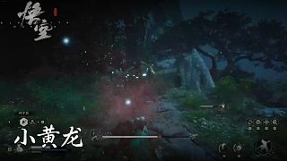董小颯《黑神話悟空》實(shí)況第二十八集：小黃龍