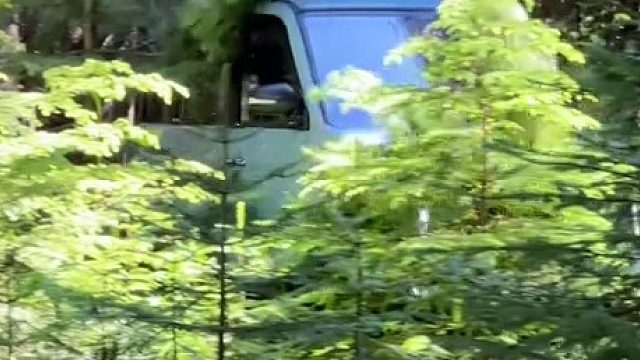 这是国外的老头乐？