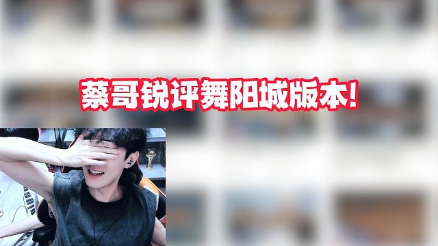 蔡哥锐评舞阳城版本!