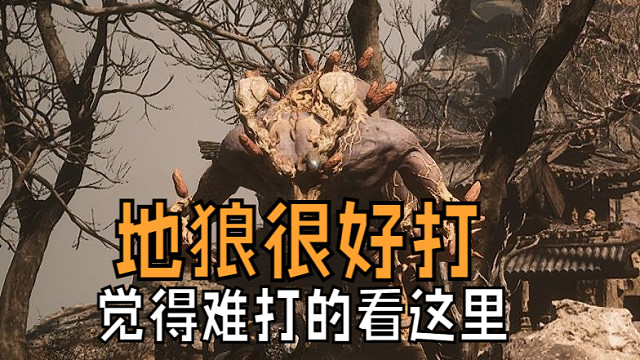 虽然叫地狼但是它是“条狗”