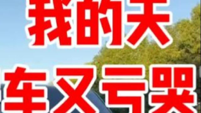 房车玩半年没想到那么不保值，一下子不见了一半，亏哭了