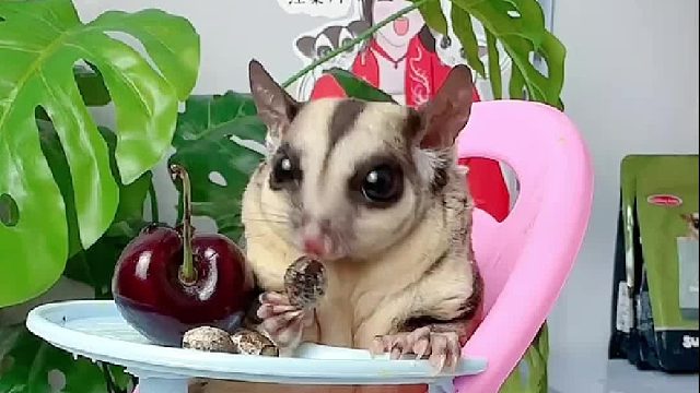 在虫子面前，啥都不好吃了