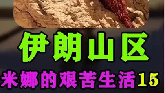 米娜的艰苦生活   (1)