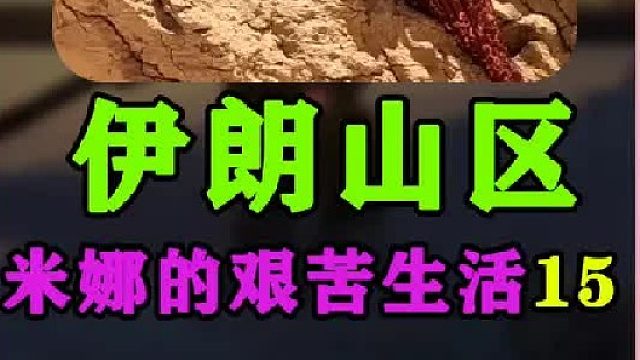 米娜的艰苦生活   (3)