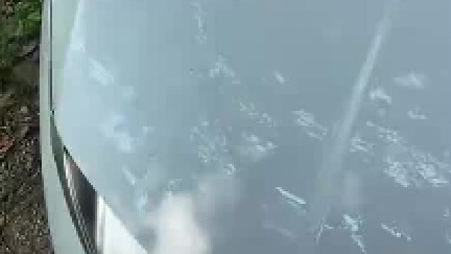 车主发现车盖有响动，打开一看没想到……网友：幸好这是新能源车