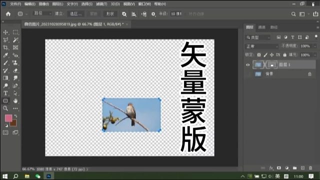 PS矢量蒙版(三种创建方法)PS矢量蒙版PS入门基础教学PS初学者教程