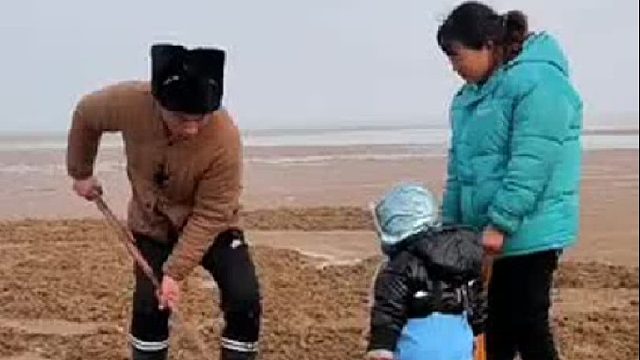户外赶海抓海鲜