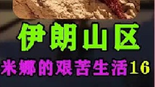 米娜的新家快建好了  (1)