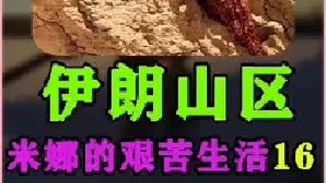 米娜的新家快建好了  (2)