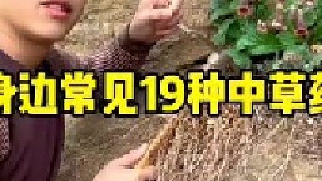 身边常见19种植物 今天和大家分享我身边常常见到的19种植物，大家一定都还能认识吧？